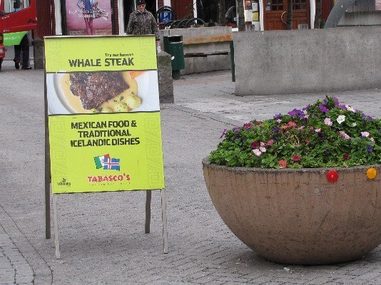 Iceland: Whale meat and Mexican cuisine