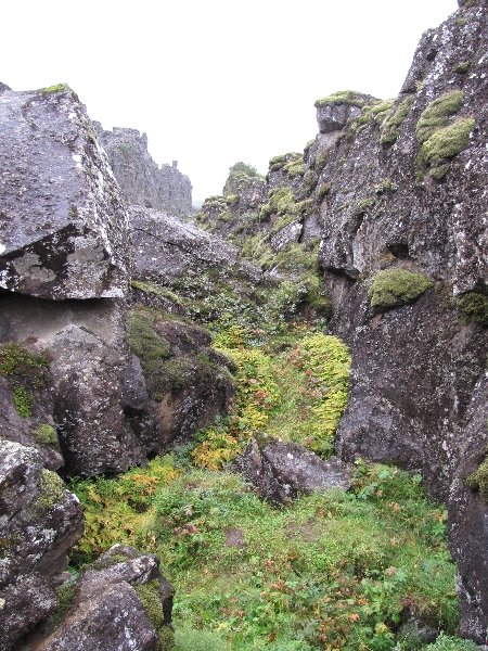 Iceland's rugged landscape