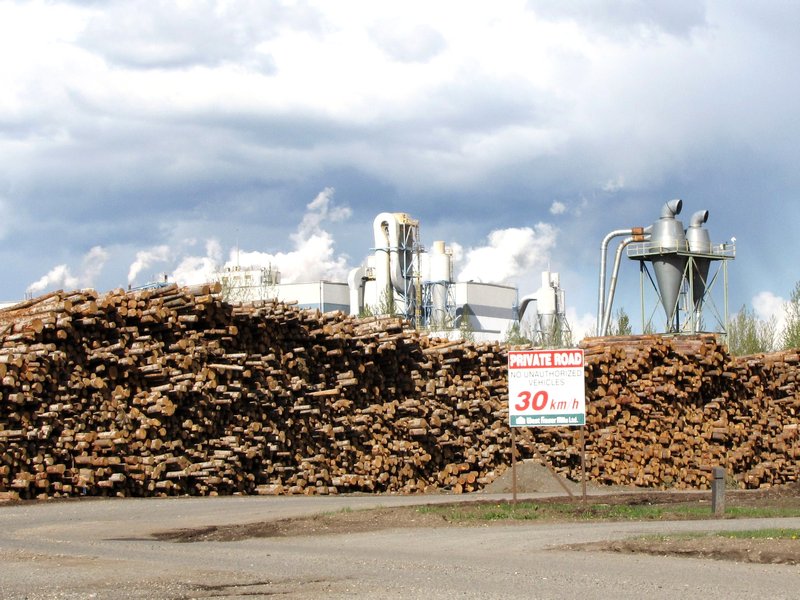 AK3 One of the many log piles in Quesnel