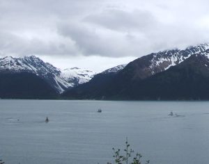 AK1 June10 East side of resurrection bay with fishing boats