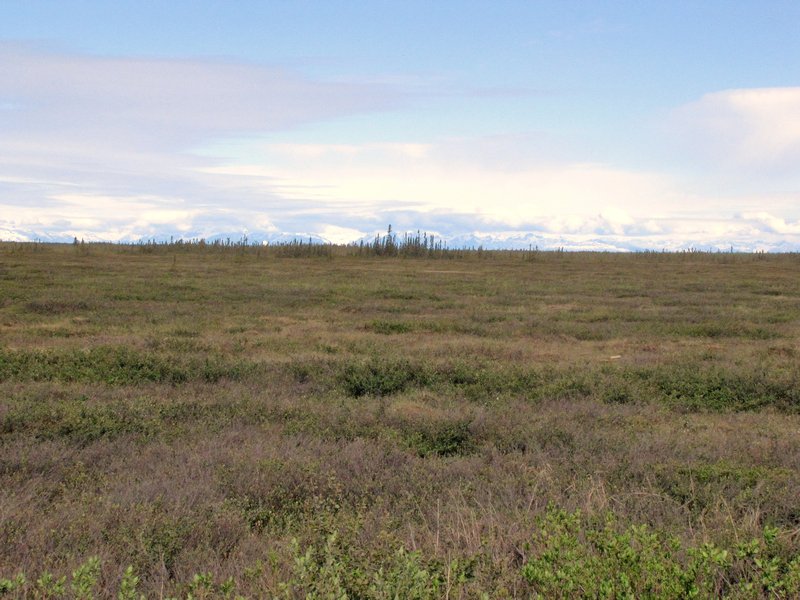 AK2 June12 the tundra Marathon Road, Kenai