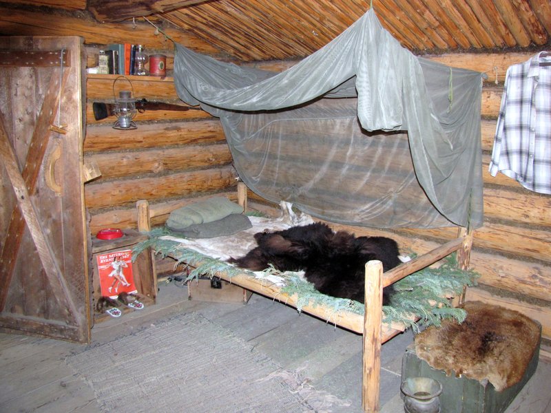 AK10 July6 Bed with spruce bough mattress and mosquito netting