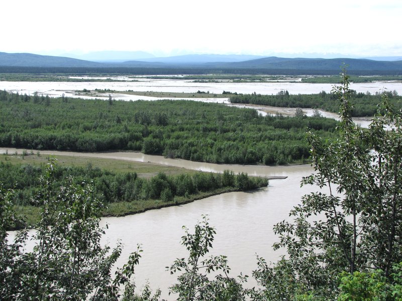 AK2 July11 The Tanana River