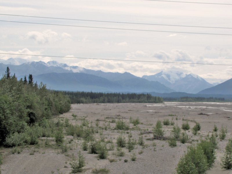 AK7 July11 Looking across the Gerstle River at the Alaskan Range