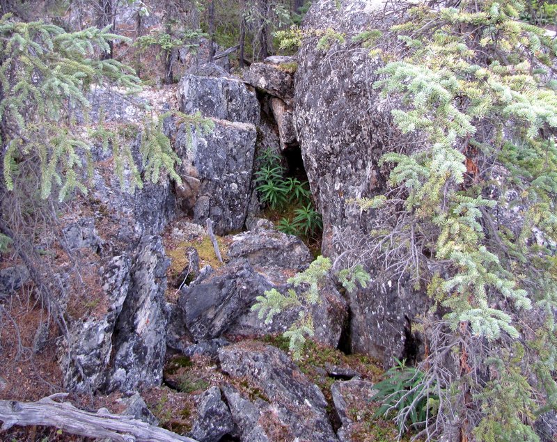 AK8 July23 Example of terrain around Rancheria Falls