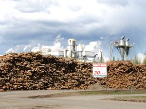 30 May13 One of the many log piles in Quesnel, BC