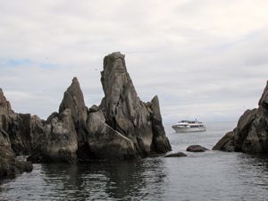 70 June9 Chiswell Islands marine wildlife reserve, Gulf of Alaska near Seward