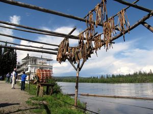 108 July6 Salmon Drying Rack at Athabascan village and Paddlewheeler Tour Boat, Fairbanks, Alaska