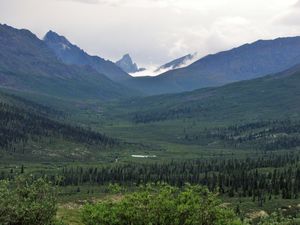 124 July18 Tombstone Territorial Park, Yukon