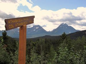 145 Aug6 Athabasca Pass, Jasper NP, Alberta