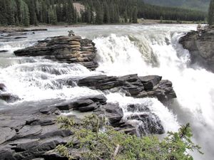 146 Aug6 Athabascan Falls, Jasper NP, Alberta