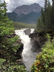 147 Aug6 Athabascan Falls, Jasper NP, Alberta--long view