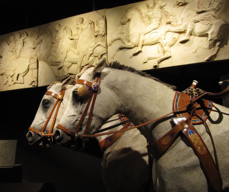 Oct9 4 Roman Horse display, park musuem