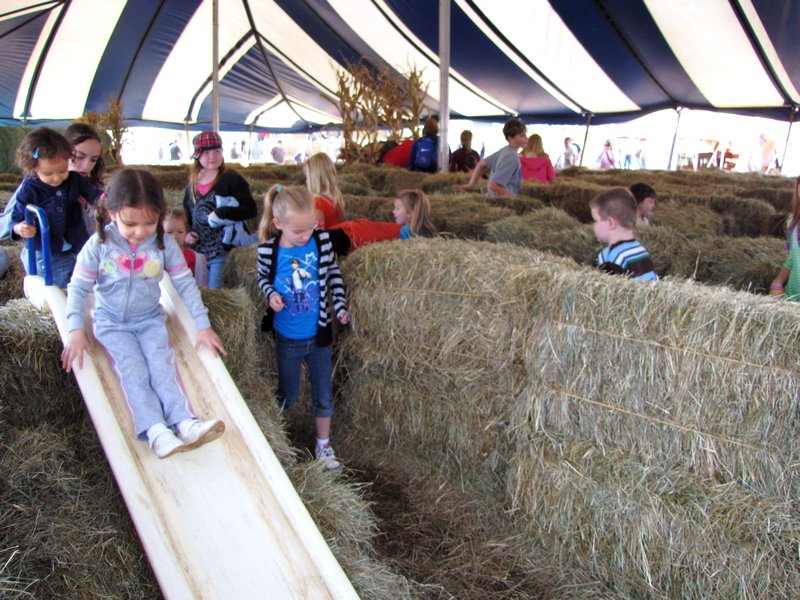 Oct16 9 Farm version of kiddie maze