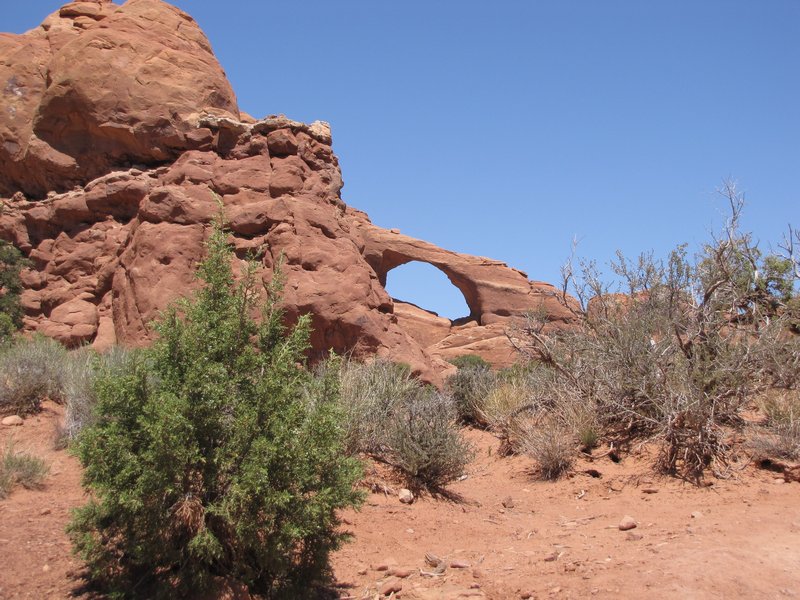 512-92 Forgot-the-name Arch
