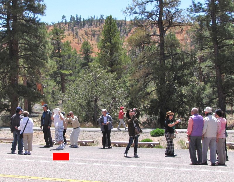 512-138  Foreign tourists taking pictures at Bryce with cameras, cell phones, and I-pads (see red bar)
