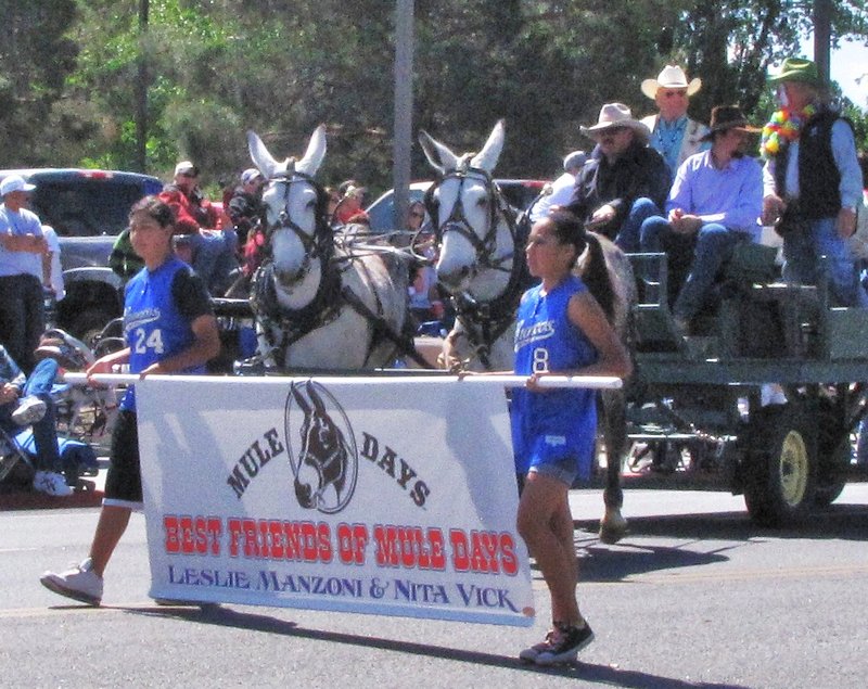 512-192 Mule Days Parade in Bishop, CA