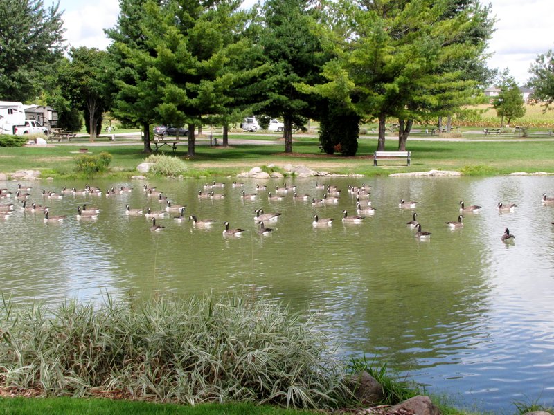 912-48 Green Acres--one of several ponds