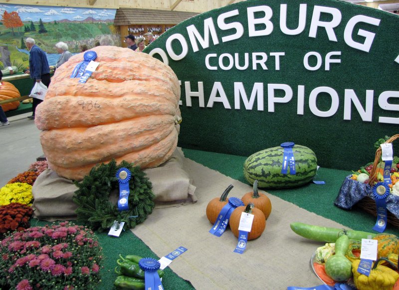 912-196 Court of Champions--986 pound pumpkin