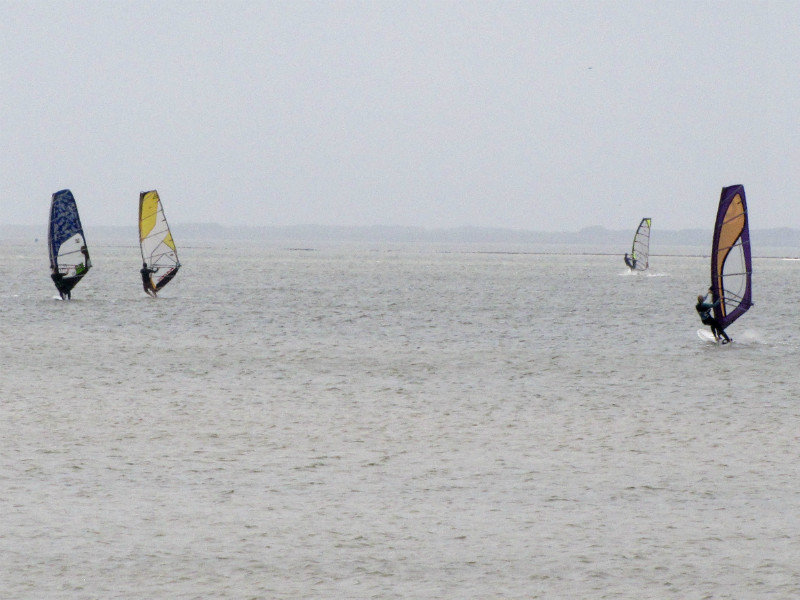 1301-15 Wind surfers at Bird Island in Padre Island NP