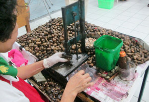 1304-91 Cracking the cashew nut