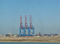 1304-381 Giant cranes at Port Said