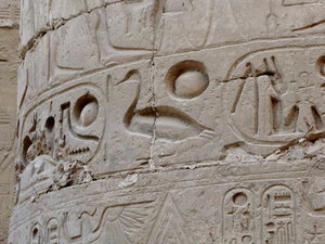 1304-350 Sharon's favorite hieroglyphic