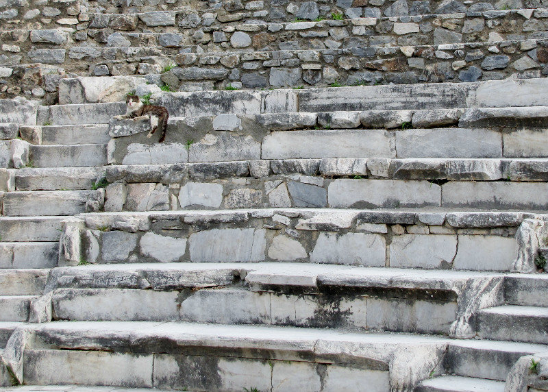 1305-83 Ephesus--The Bouleuterion--note lion's feet at stairways--used for council meetings and as a small theater (100AD)