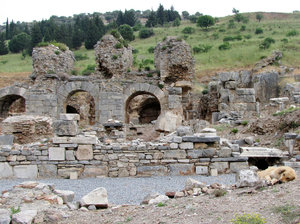 1305-78 Ephesus--Baths for the State Agora