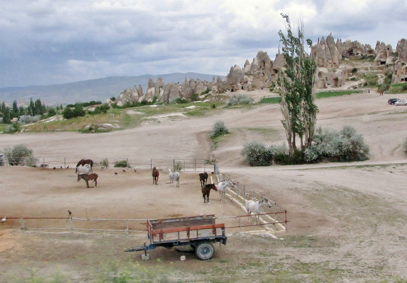 1305-186 Cappadocia Region roadside view
