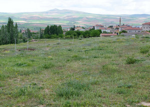 1305-245 Underneath this field was one of several underground cities in the Cappadocia region