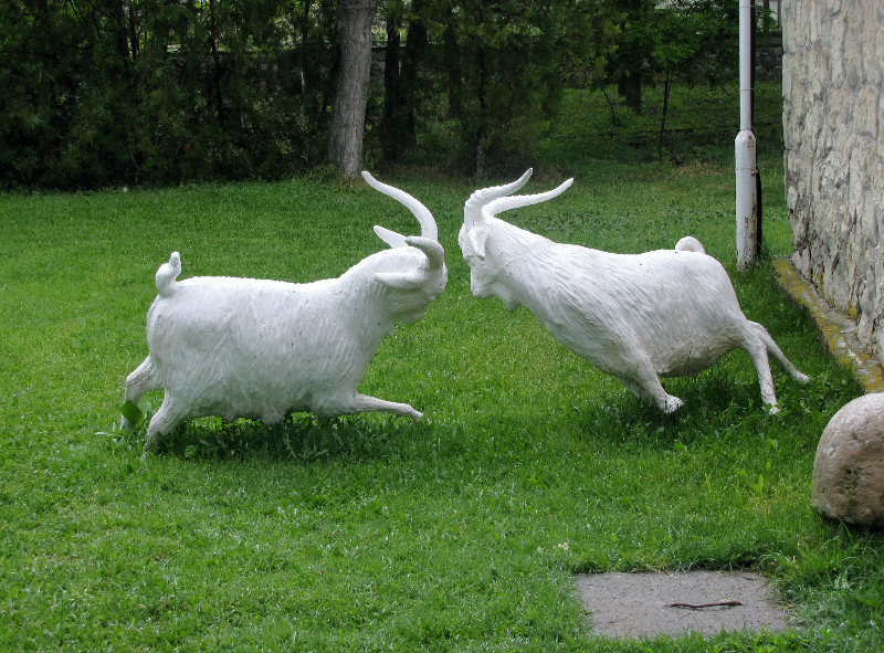 1305-281 Angora goat statues on grounds