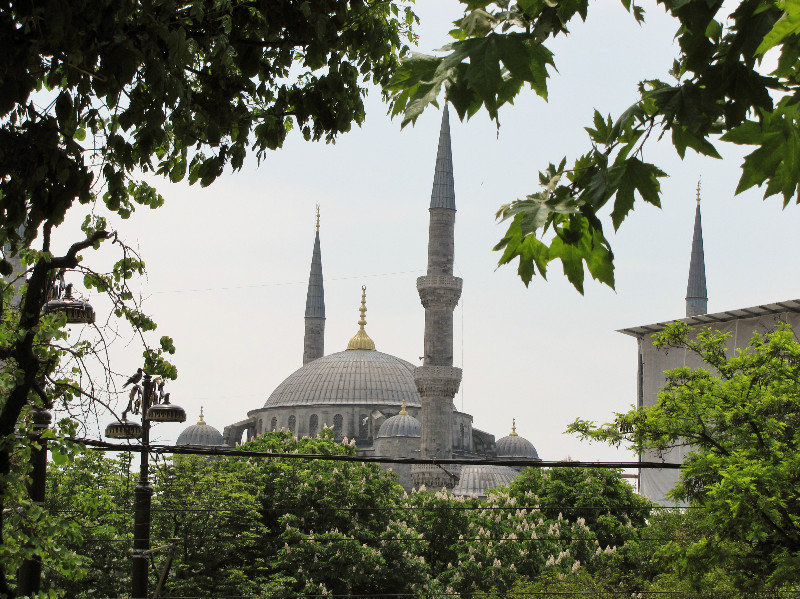 1305-316 The Blue Mosque