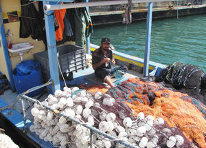 1305-492 Independent fisherman repairing his nets