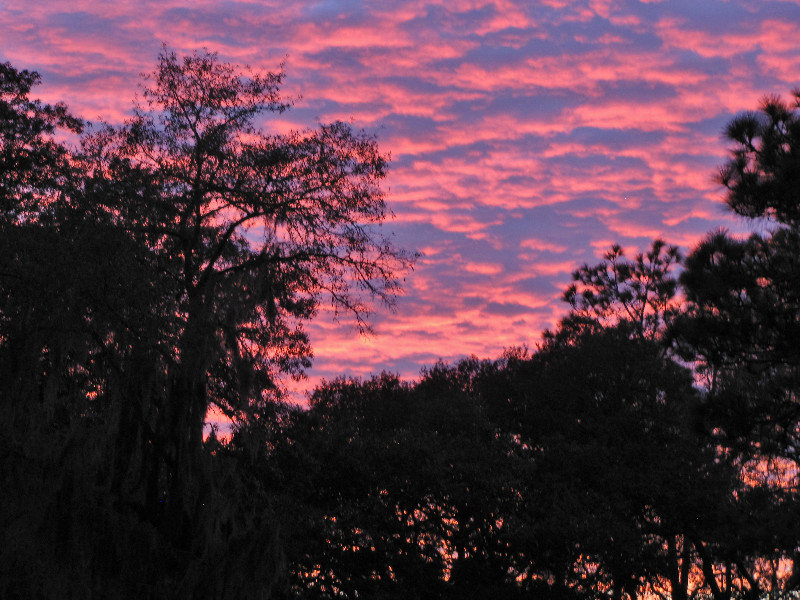 1311-03 Sunset over Reed-Bingham State Park, GA-C