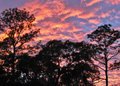 1311-01 Sunset over Reed-Bingham State Park, GA-A