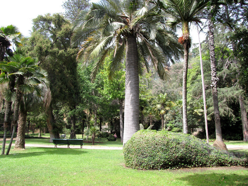 1312-04 Quinta Vergara Park -A