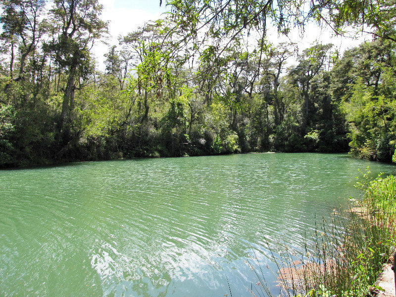 1312-60 Green Lagoon