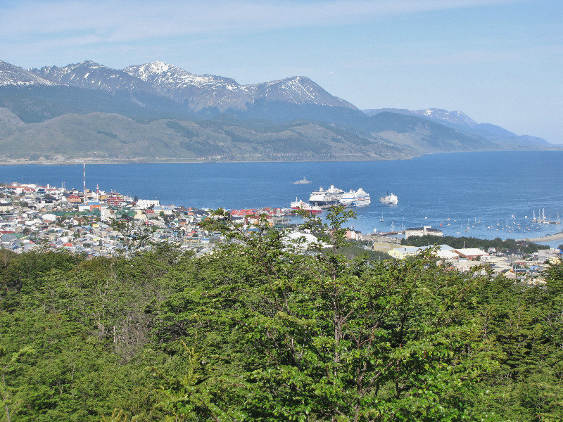 1312-217 A hilltop view of Puerto Ushuaia with the Zaandam in the center