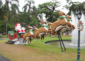 1312-470 Santa and reindeer
