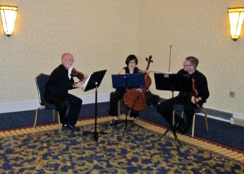 1307-75 Stringed trio for wedding and reception