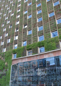 1312-551 Intercontinental hotel with green plants covering the walls