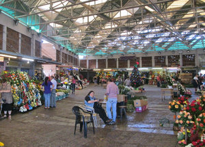 1312-570 The flower market
