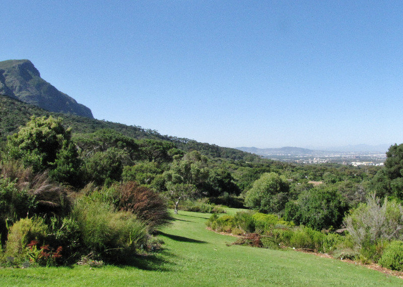 1402-98 Part of Table Mountain on which the garden exists