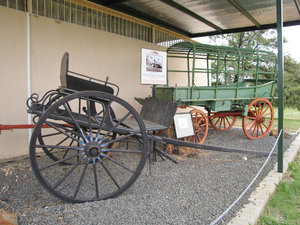 1403-199 Some of the voortrekker wagons