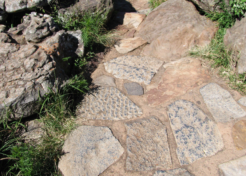 1403-442 Pathway stones showing ancient geological activity
