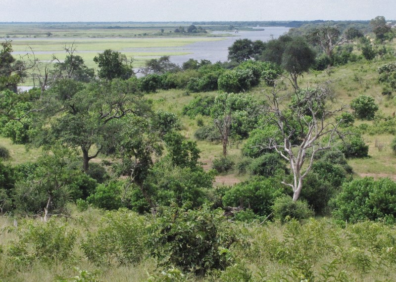 1403-634 The Chobe River--first a river cruise, next the land safari