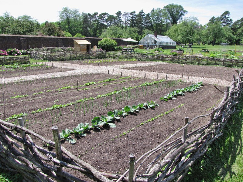 1506-40 Fort's vegetable garden