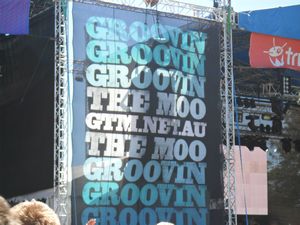 Groovin The Moo