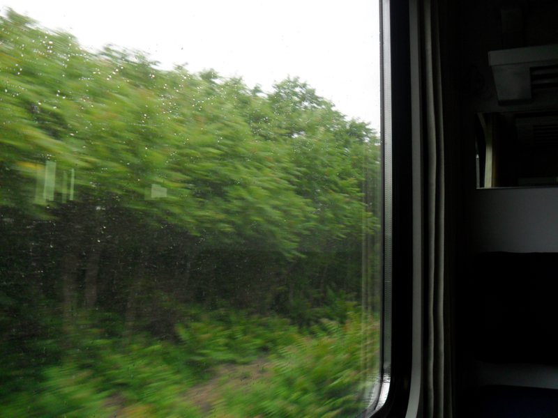 Rainy train ride